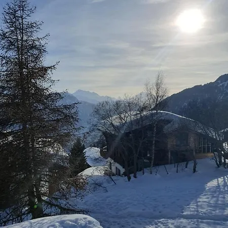 Chalet Alpina *